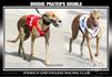 Praters Double